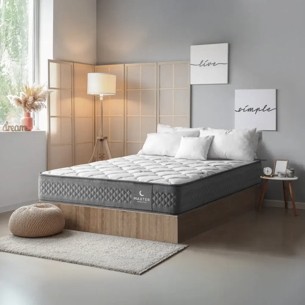 ambiente-maxter.webp