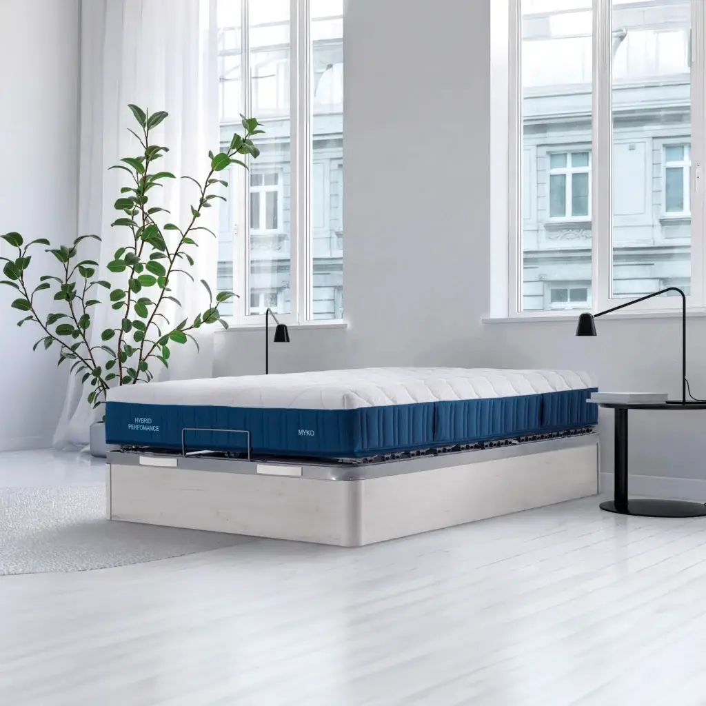 ambiente-myko.webp